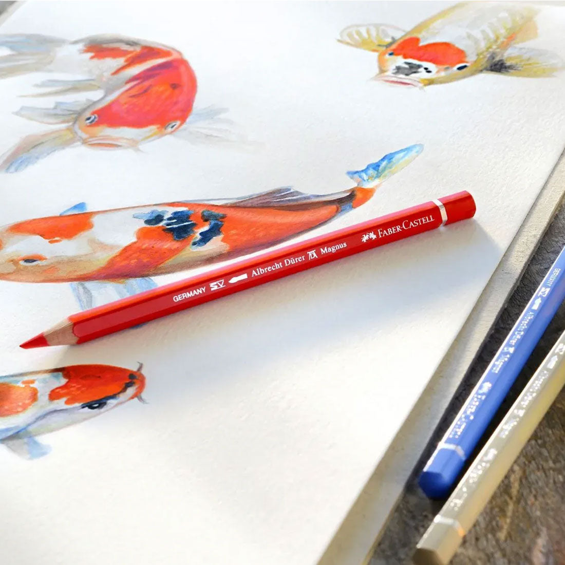 Faber Castell Albrecht Durer Magnus Watersoluble