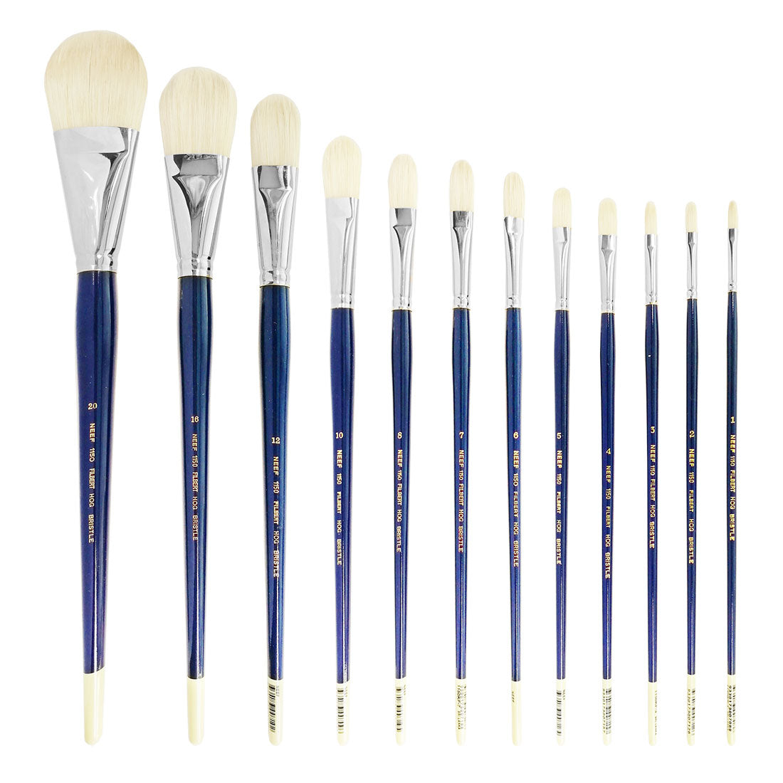 1150 Filbert Neef Hog Bristle