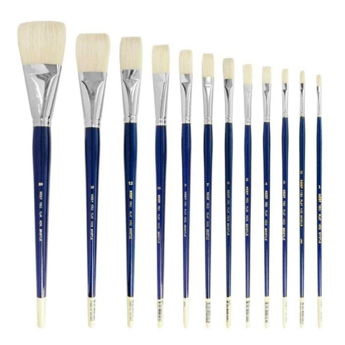1150 Bright Neef Hog Bristle