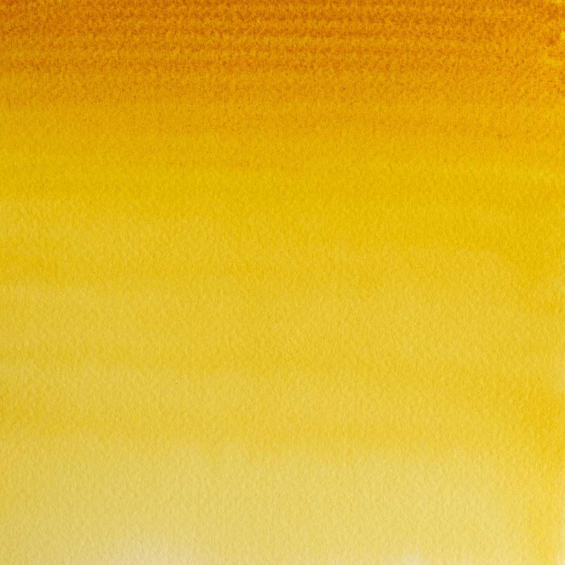 transparentyellow_1200x1200.jpg?v=1607493043